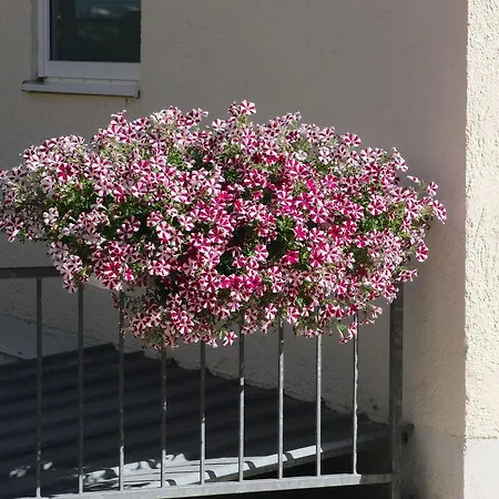 Penzion Haus Hildegard 2*